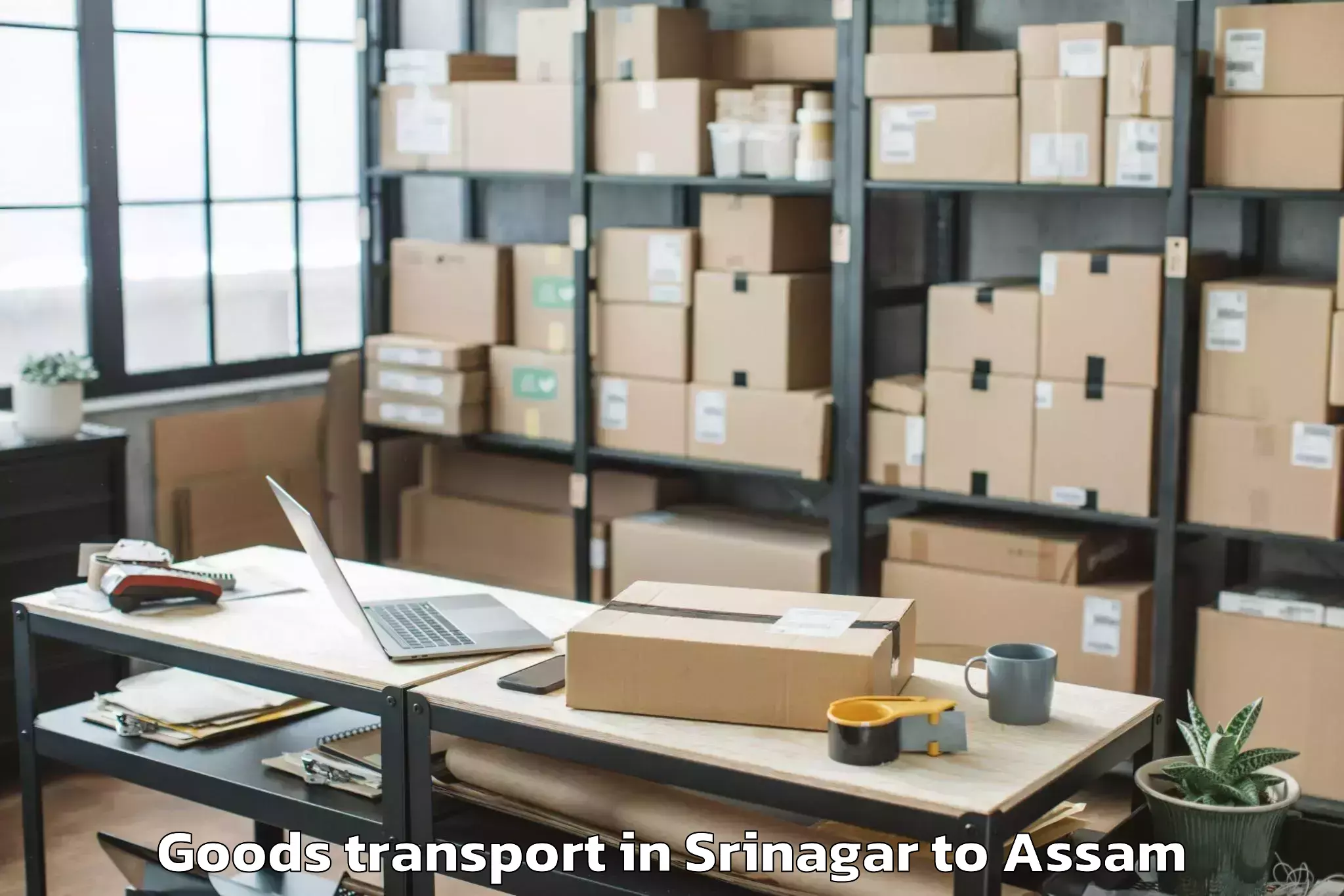 Discover Srinagar to Nahorkatiya Goods Transport